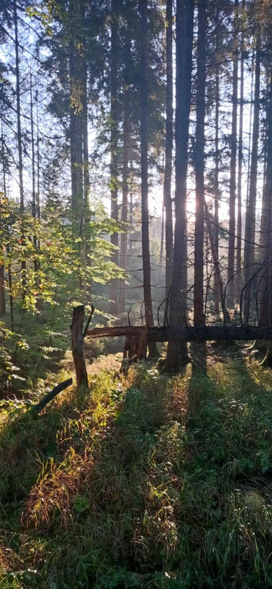 Am Goldberg Gasthof Sankt Oswald-Riedlhuette
