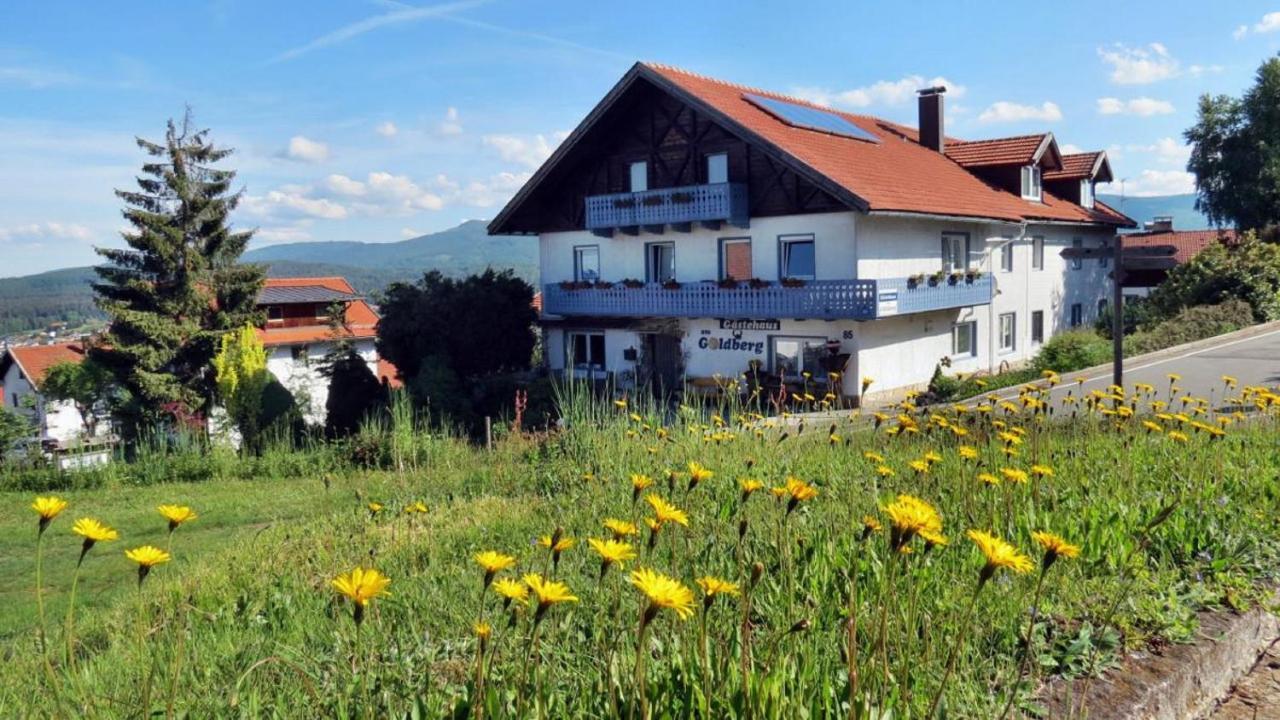 Affittacamere Gaestehaus Am Goldberg 3*